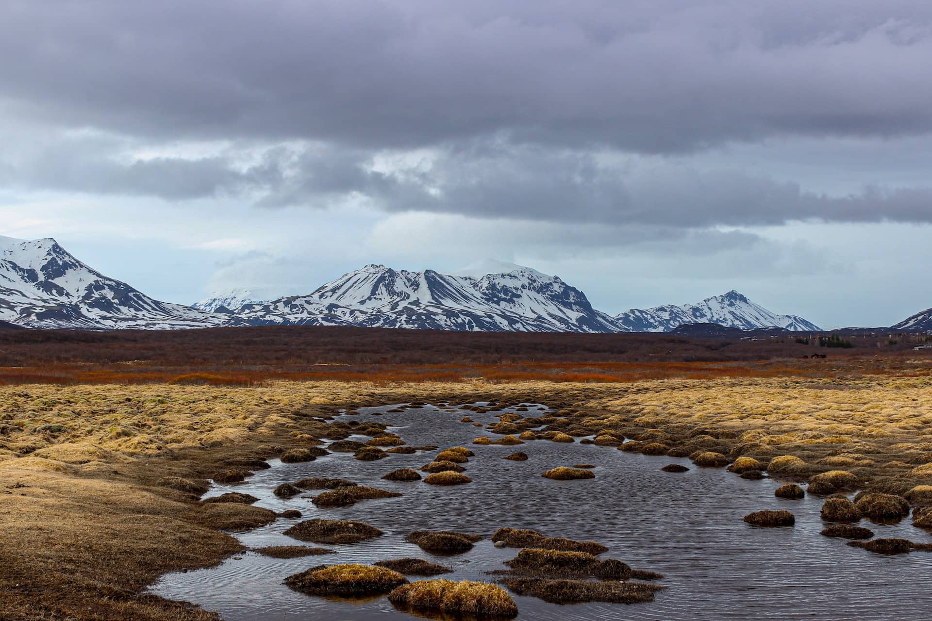 Paysage de toundra dans l'Arctique