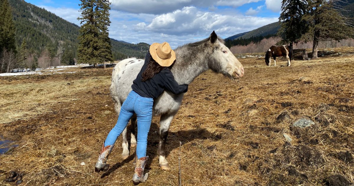 Workaway dans un ranch canadien